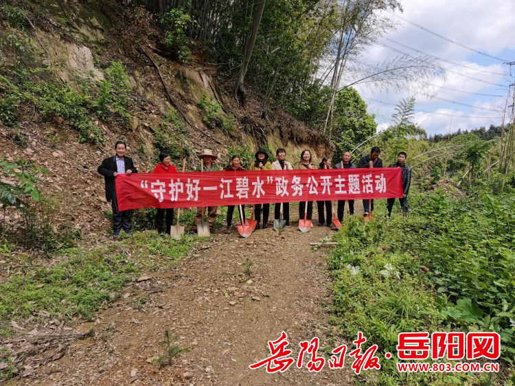 图片10.png