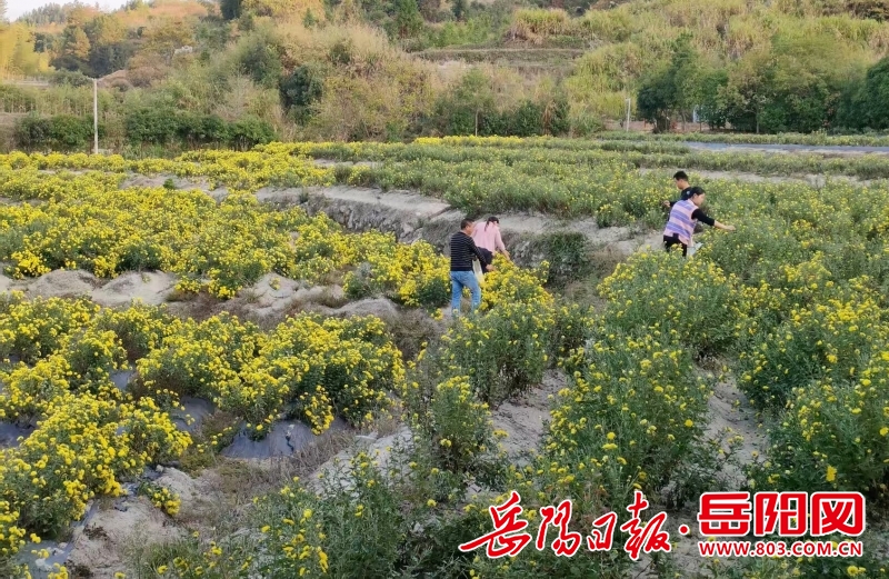 1753524071273054.jpg 微信图片_20260324161447_334.jpg