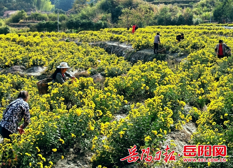 1754309330016782.jpg 微信图片_20260324172027_353.jpg