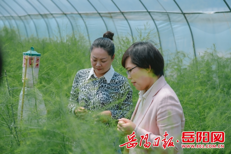 1551252852836335.jpg 微信图片_20260410153855_8_705.jpg