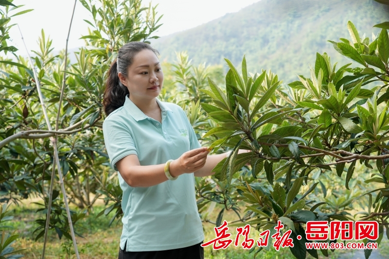 1552036470130493.jpg 微信图片_20260410154134_19_705.jpg