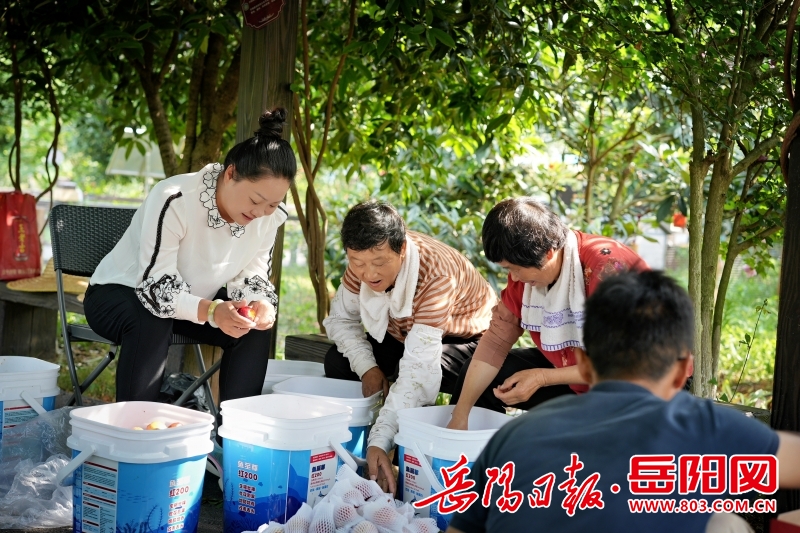 1552353435047250.jpg 微信图片_20260410154130_17_705.jpg