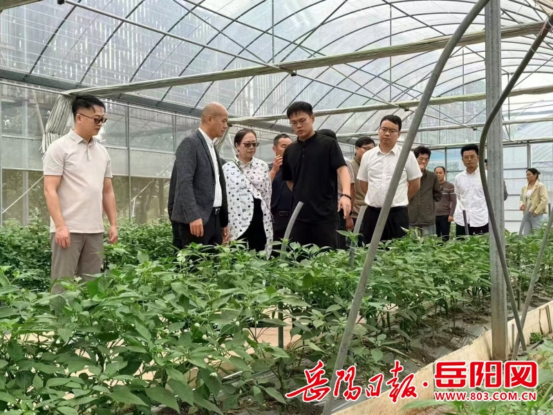 1111356635124318.jpg 微信图片_20261002111027_546_2.jpg
