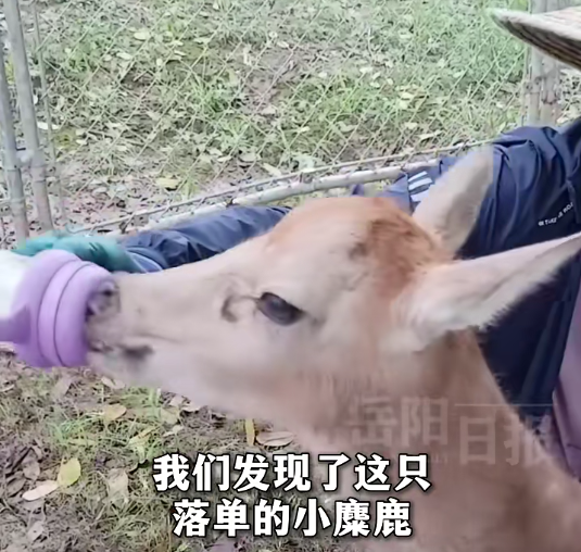 新闻