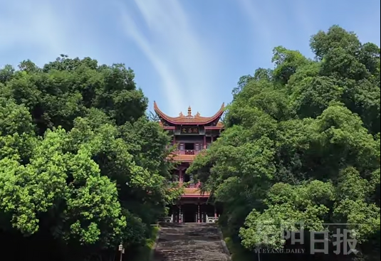 新闻