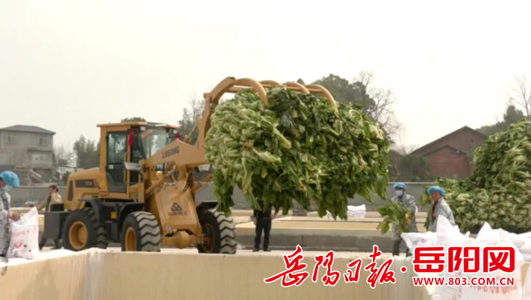 微信图片_20230309163723.png 图片