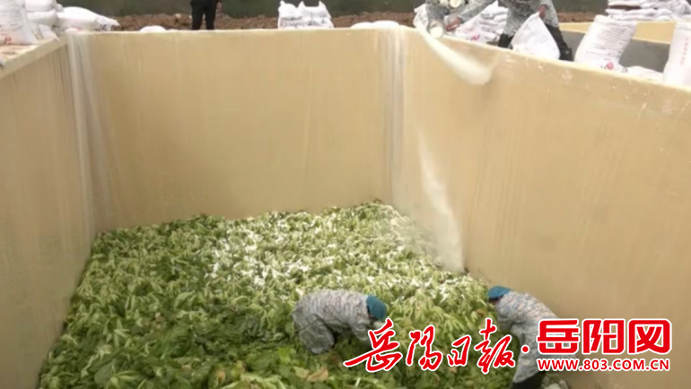 微信图片_20230309163644.png 图片