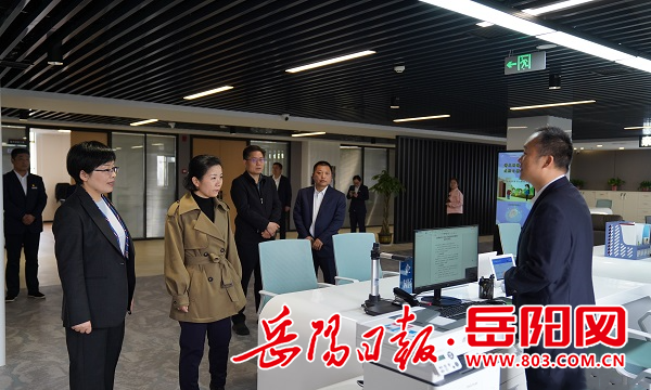 云溪区蒋春艳调研区政务服务中心提质扩容建设工作