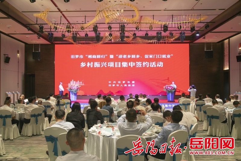 0951255019110053.jpg 1.jpg