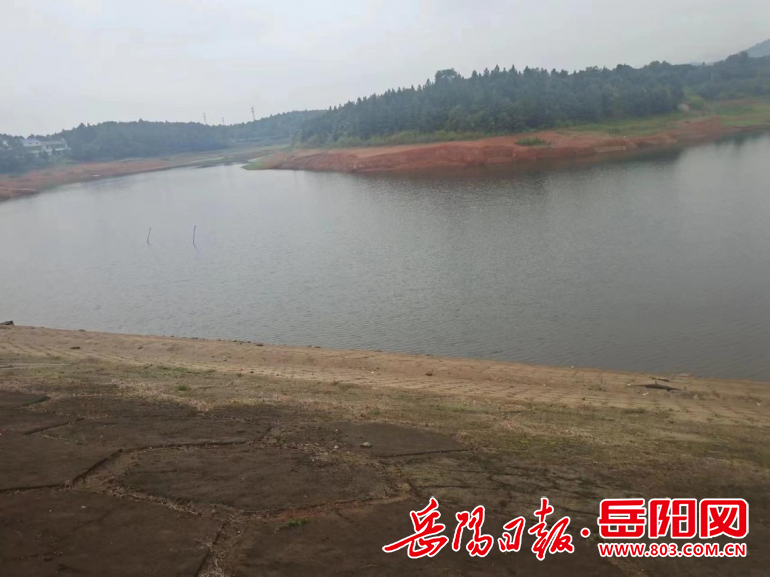 湘阴县金龙镇:打好蓝藻水华防控"主动仗"
