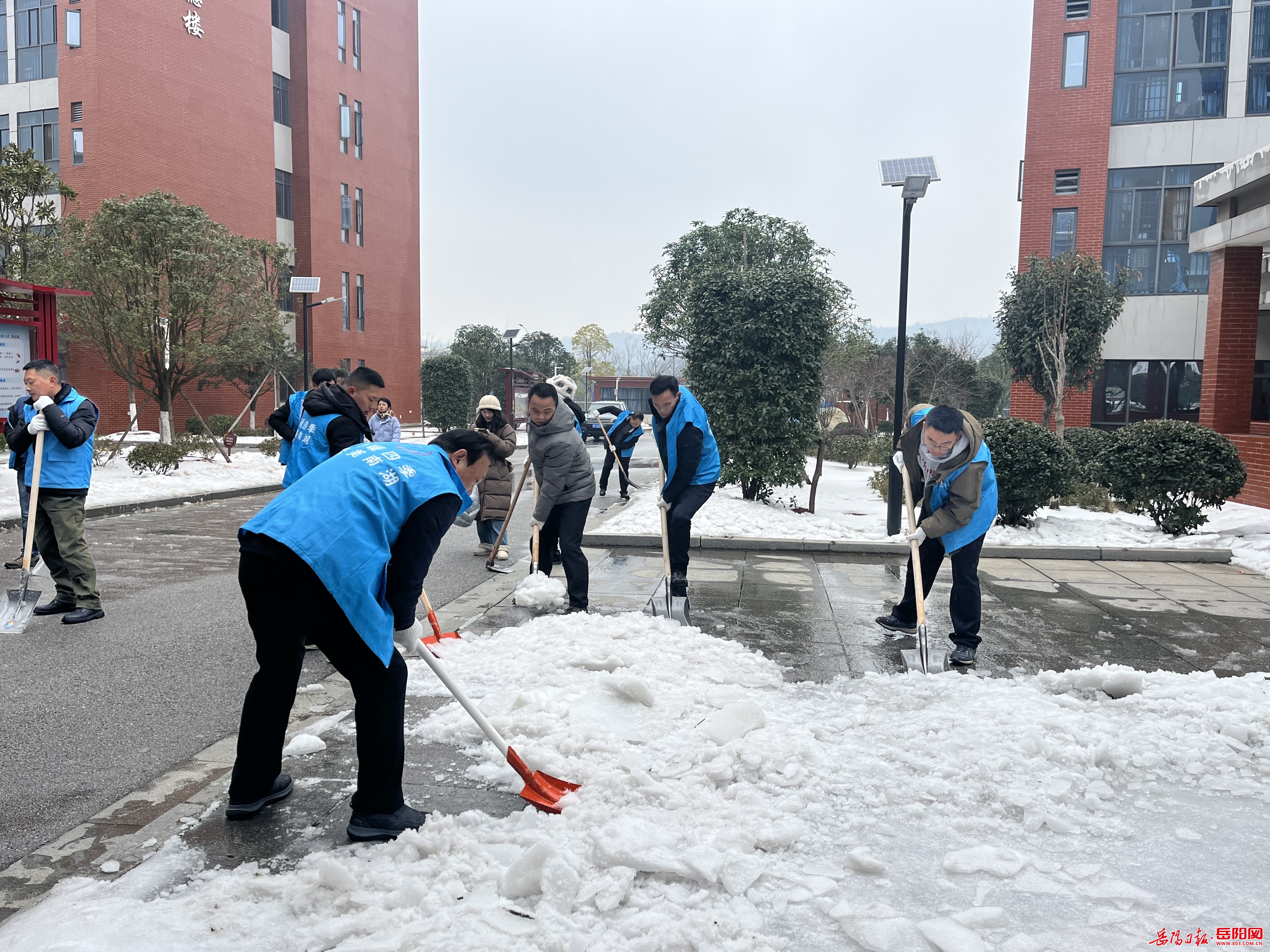 铲雪除冰宣传报道图片