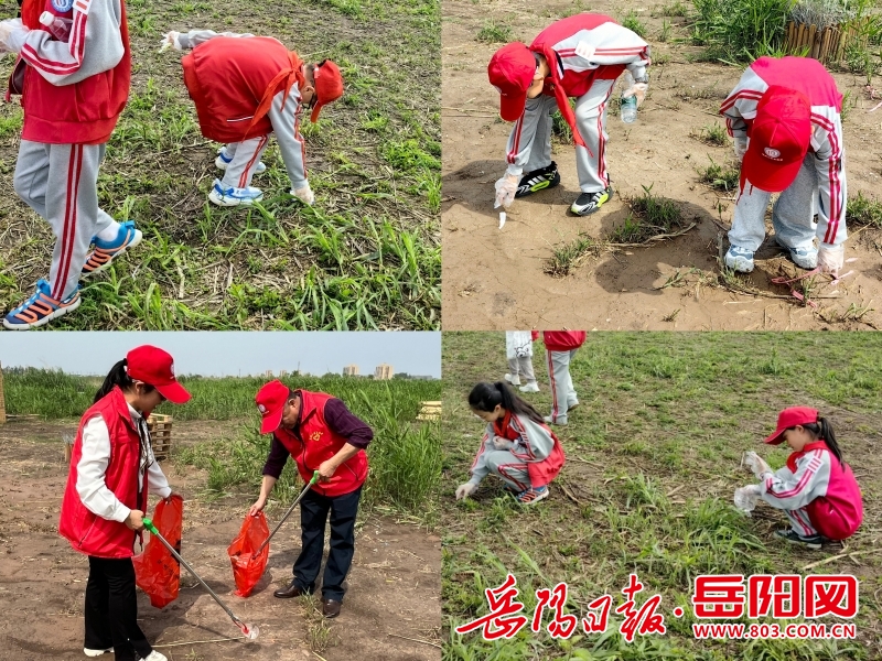 图4净滩行动.jpg