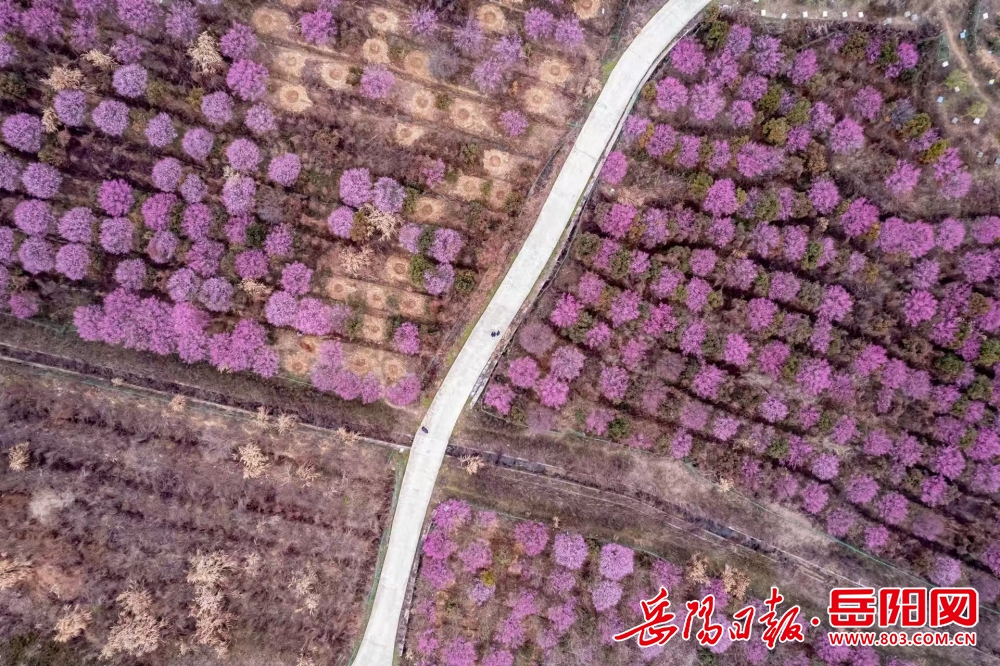 0945548248333475.jpg