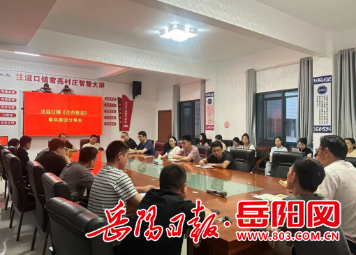 华容注滋口镇青年干部凝心聚力共谋发展